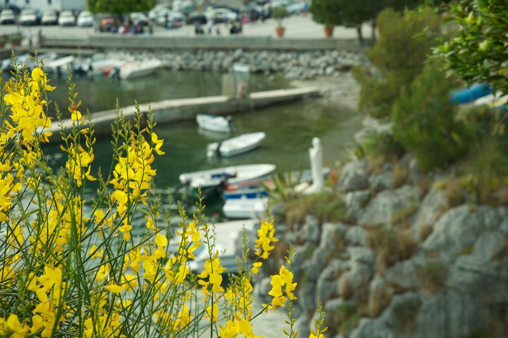 Romantic Hotel & Restaurant Villa Cheta Elite Maratea Eksteriør billede